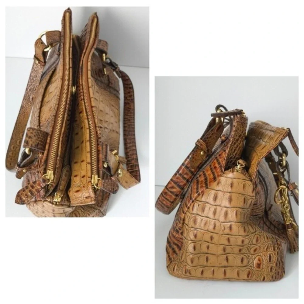 Brahmin dark brown
